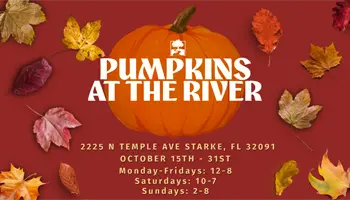 Pumpkins  at River of Life Church
